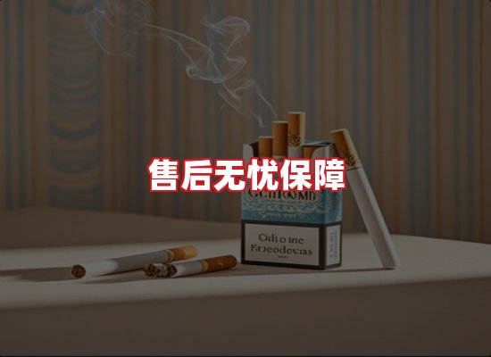 专业团队
